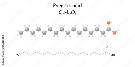 Stylized Molecule Modelskeletal Formula Of Palmitic Acid Stock Vector