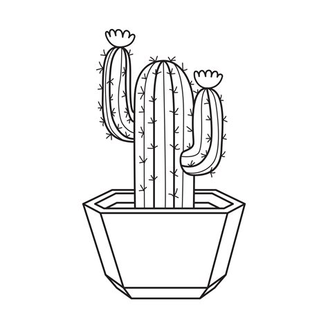 vector outline cactus  pot indoor succulent plant  thorns