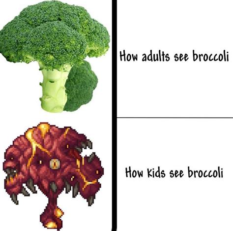 The Best Broccoli Memes Memedroid