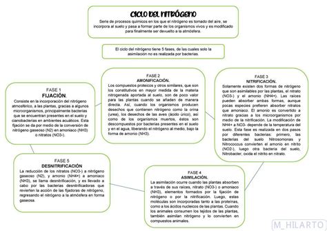 Mapa Conceptual Explicando El Ciclo Del Nitr Geno Brainly Lat