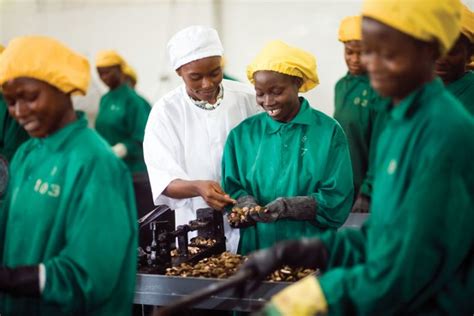 Olam En C Te Divoire Obtient La Certification Top Employer