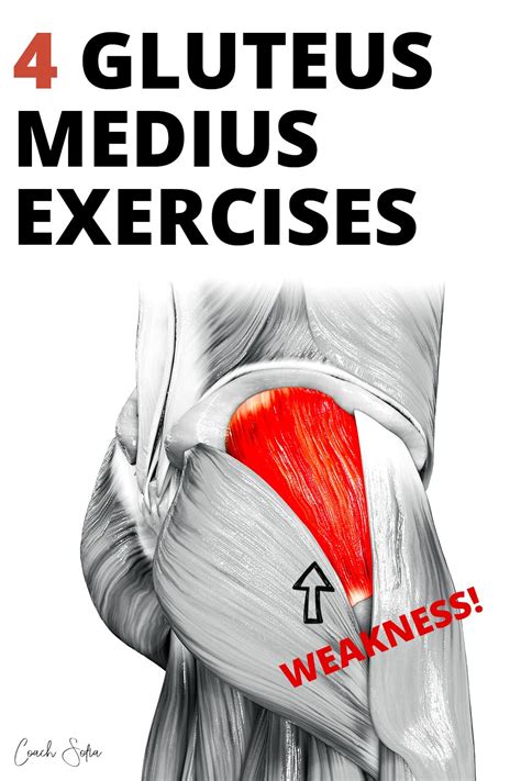 4 Weak Gluteus Medius Activation Exercises Gluteus Medius Exercises Gluteus Medius Medius