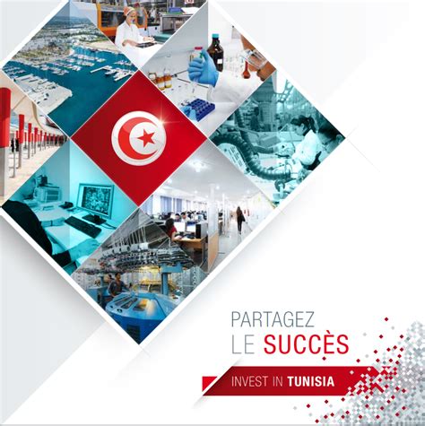 investir en tunisie annitec consulting