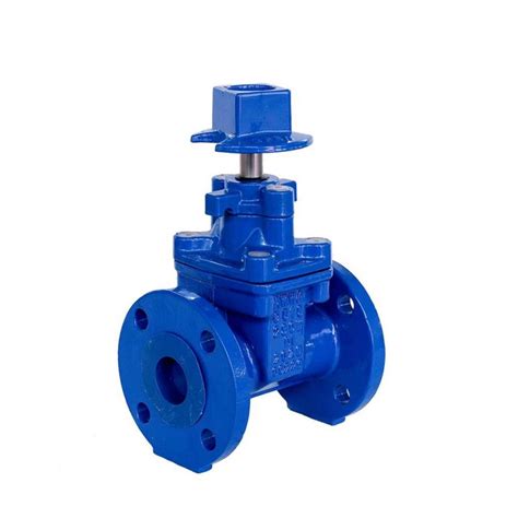 2 Ductile Iron Flanged Nrs Resilient Wedge Gate Valve 200psi Luneot