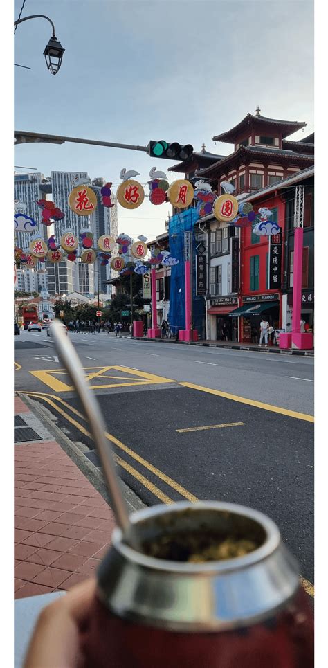 salud  chinatown singapore ryerbamate