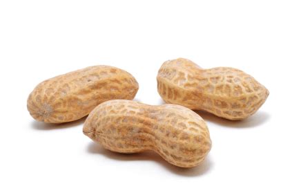 » How to Grow Peanuts » Backyard Gardening Blog