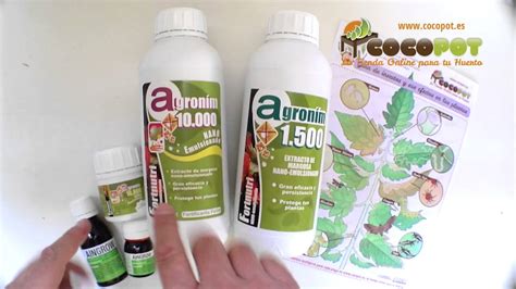 Aceite de Neem Insecticida Ecológico YouTube