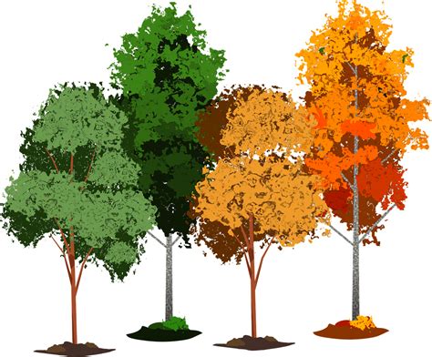 200000 Free Aspen Tree And Aspen Images Pixabay