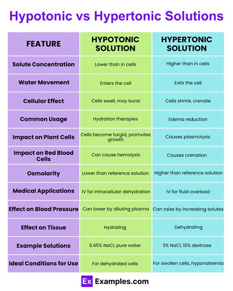 Hypotonic vs. Hypertonic: What's the Difference? With Examples