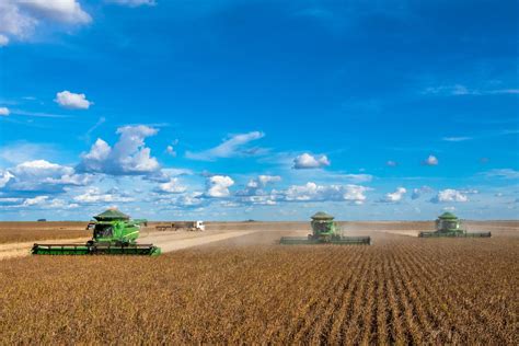 PIB do Agronegócio acumula recuo de 3,5% em 2024; veja segmentos mais