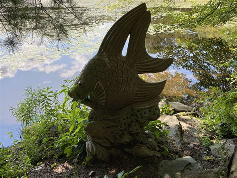 the secret garden shrewsbury 6