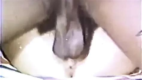 King Paul Porn Videos Porn Star Sex Scenes Xhamster