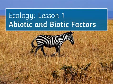 abiotic  bioticpdf