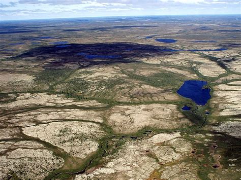 Термокарст - фото и картинки: 62 штук