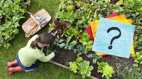 Quels Sont Les L Gumes Faire Pousser Dans Votre Potager En Ce Mois De