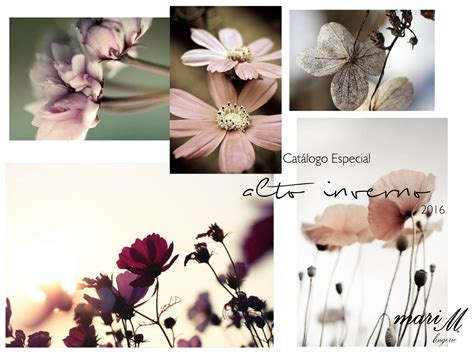 Mari M Lingerie PROMOCIONAL PIJAMA ATACADO Page 1 Created With Publitas