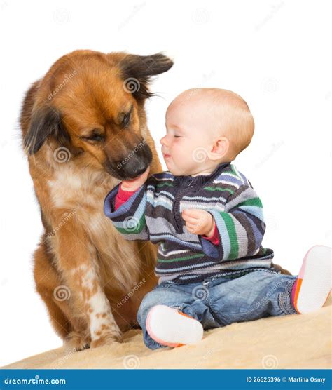 Why Do Dogs Lick Babies