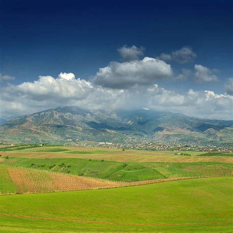 Сукок — Письма о Ташкенте