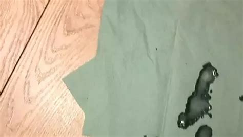 Free Blowjob After Work Gay Porn Videos Xhamster