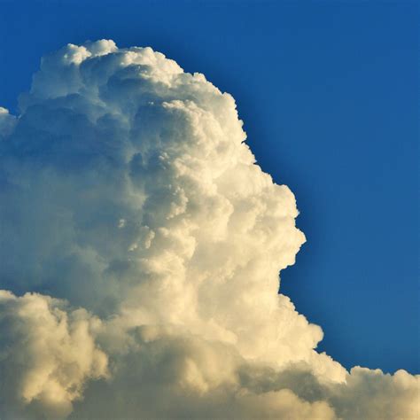 cumulus cloud tower  stock photo public domain pictures