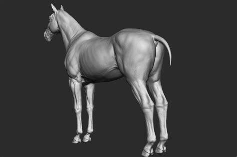 Realistic Horse Sculpt Flippednormals