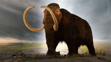 Mastodon Bones Have Been Discovered By Sewer Workers In Indiana