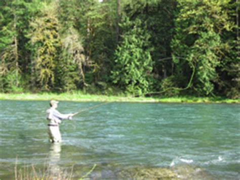 Angling On The North Umpqua River Oregon