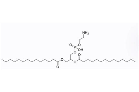 Dmpe Avt Shanghai Pharmaceutical Tech Co Ltd