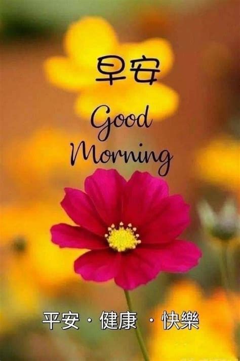 A Red Flower With The Words Good Morning Written In Chinese