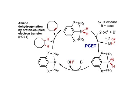 Dehydrogenation Mechanism