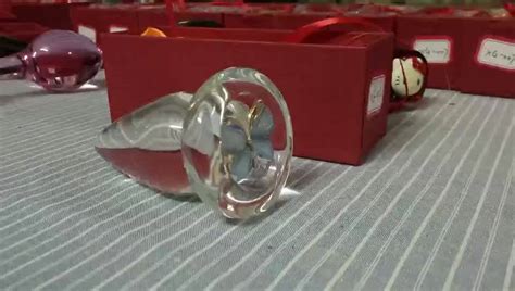Oem Disponible De Cristal Anal Enchufe Trasero Mariposa Anal Juguetes