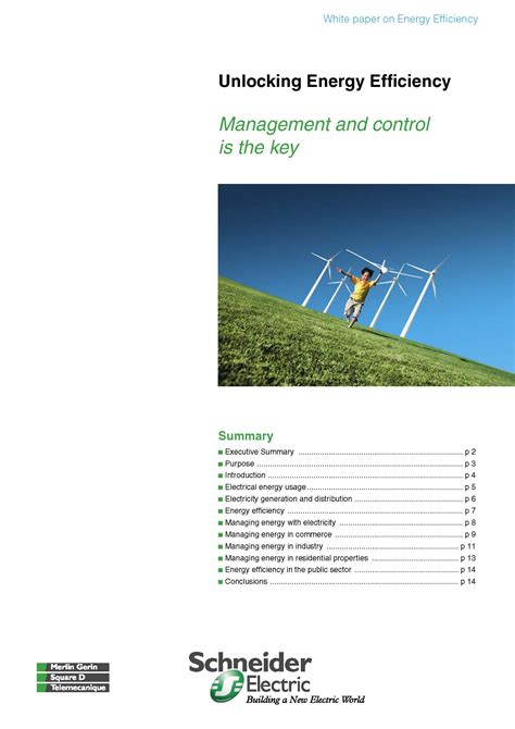 Unlocking Energy Efficiency