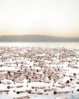 Spencer Tunick Naked World Porn Pictures XXX Photos Sex Images 671141 PICTOA