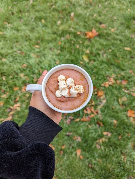 Hot Chocolate Mini Marshmallow And Cinnamon Soy Wax Candle Etsy