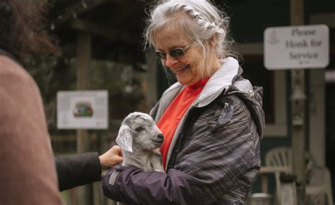 Exploring Vibrant Senior's Activities in Abbotsford - Tourism Abbotsford