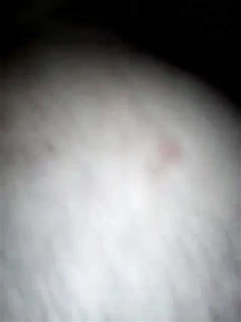 1218 Porn Videos Gay XXX 2025 XHamster