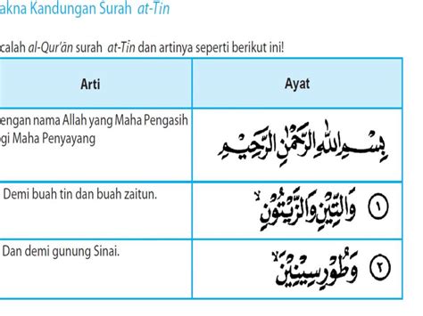 kandungan surah  tin youtube