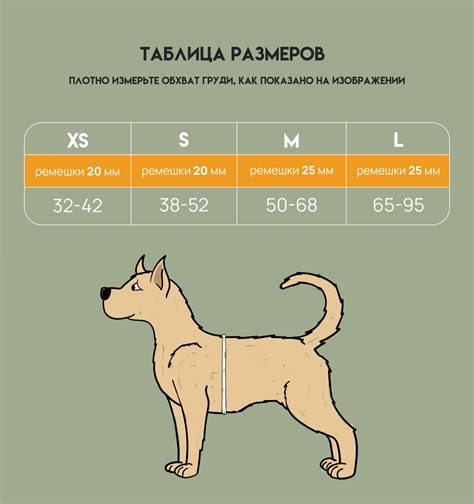 Анатомические шлейки для собак | Howdog Store