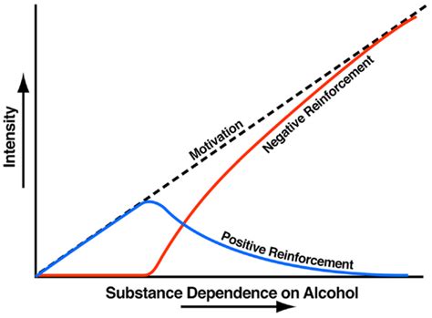 Theoretical Framework Relating Addiction Cycle To Motivation For Drug