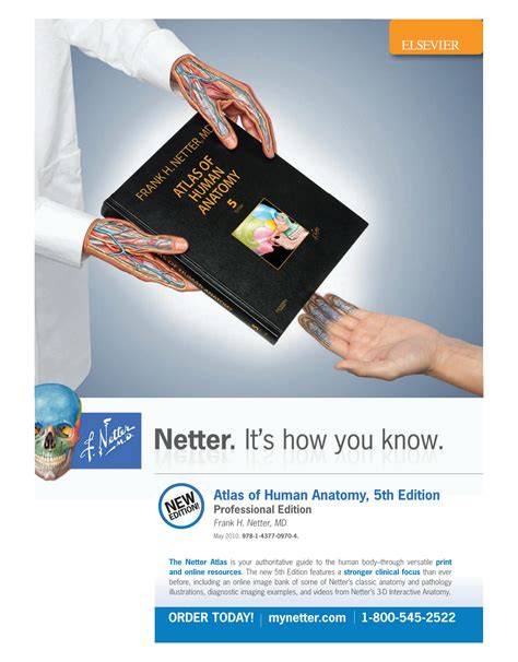 SOLUTION: Netter correlative imaging musculoskeletal anatomy nodrm ...