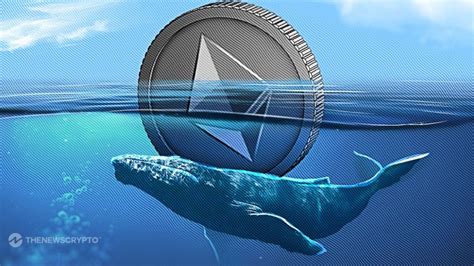 Ethereum Whale Movements Surge Approaching Eth Bull Run Guest Post