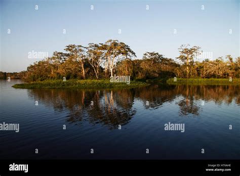 Amazon rainforest along river, Ecuador Stock Photo - Alamy