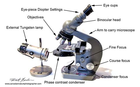 Educational Toys EDU-TOYS My First Microscope 30x Microscope for ...