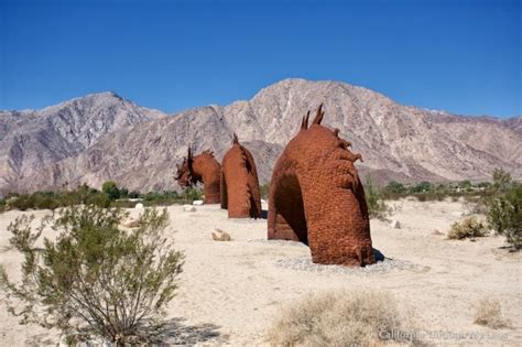 Exploring the Metal Sculptures of Anza Borrego and Galleta Meadows ...