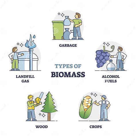 Biomassa É Considerada Um Recurso Natural - Tipos De Biomassa Como Recurso Natural Para a Recolha De Contornos De ...
