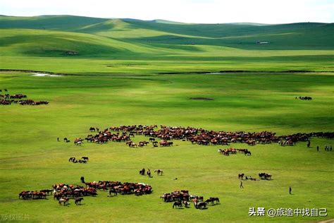 内蒙古旅游攻略行程详细汇总 内蒙景区旅游攻略 联途