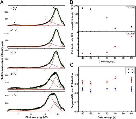 Anomalously Robust Valley Polarization And Valley Coherence In Bilayer