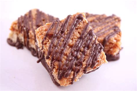 Homemade Girl Scout Cookies Samoas Bars Nutmeg Nanny