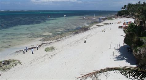 Nyali Beach Mombasa Kenya Ultimate Guide June 2025