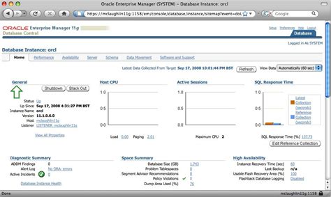 Oracle Database 10g Express Edition Banco De Dados